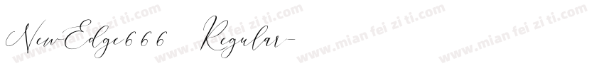 NewEdge666 Regular字体转换